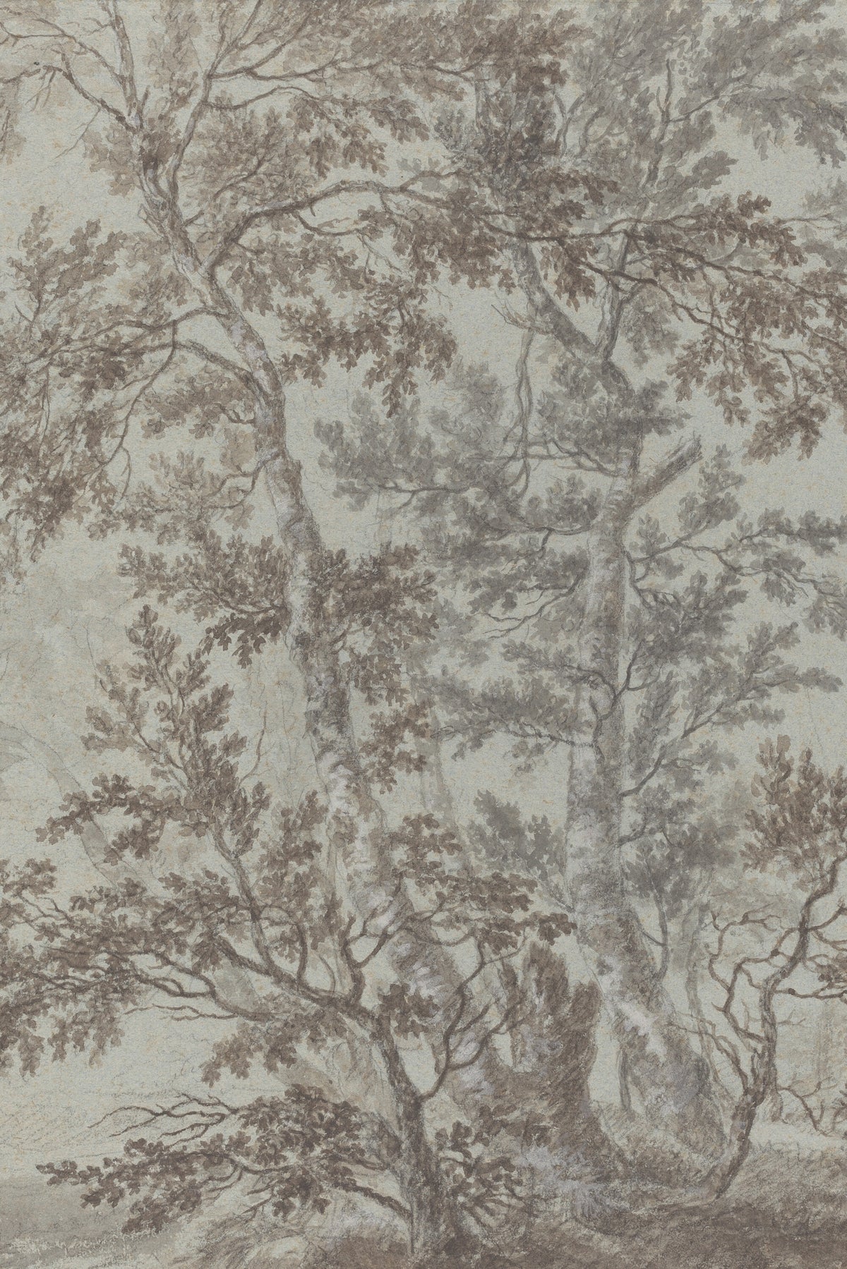 Quiet Woodland Branches artwork
