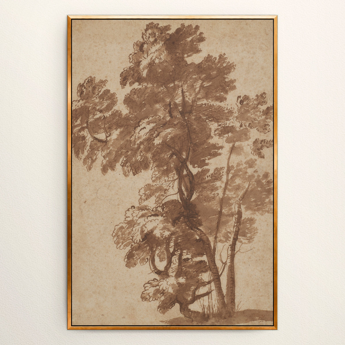 Sepia Tree Study wall art
