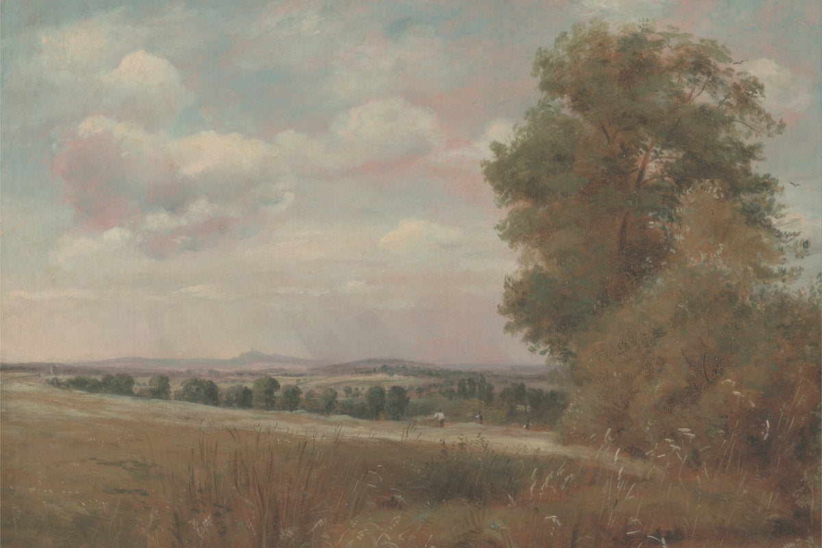 Country Hills and Old Oak artwork