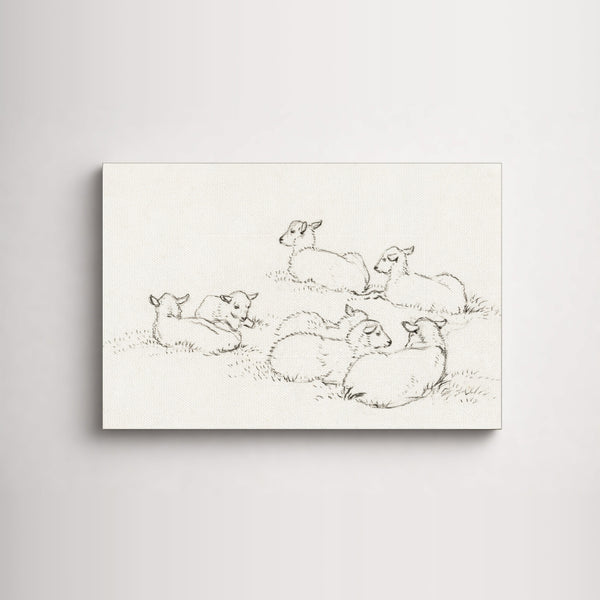 Little Lambs Line Drawing as an unframed canvas