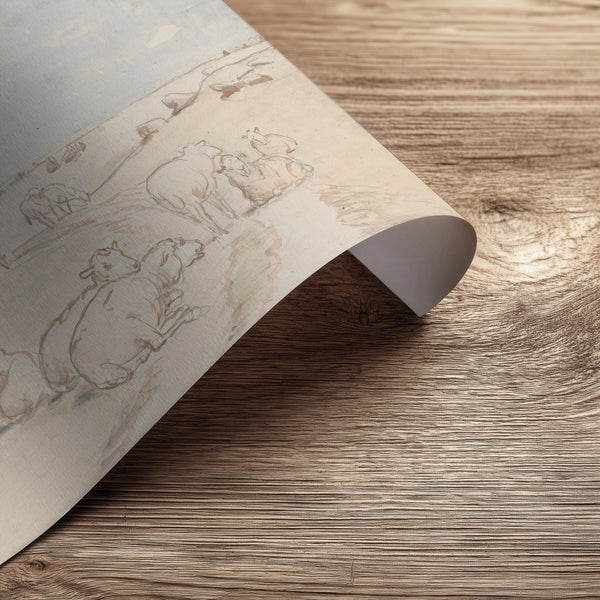Resting Sheep in Pencil printed on premium matte art paper