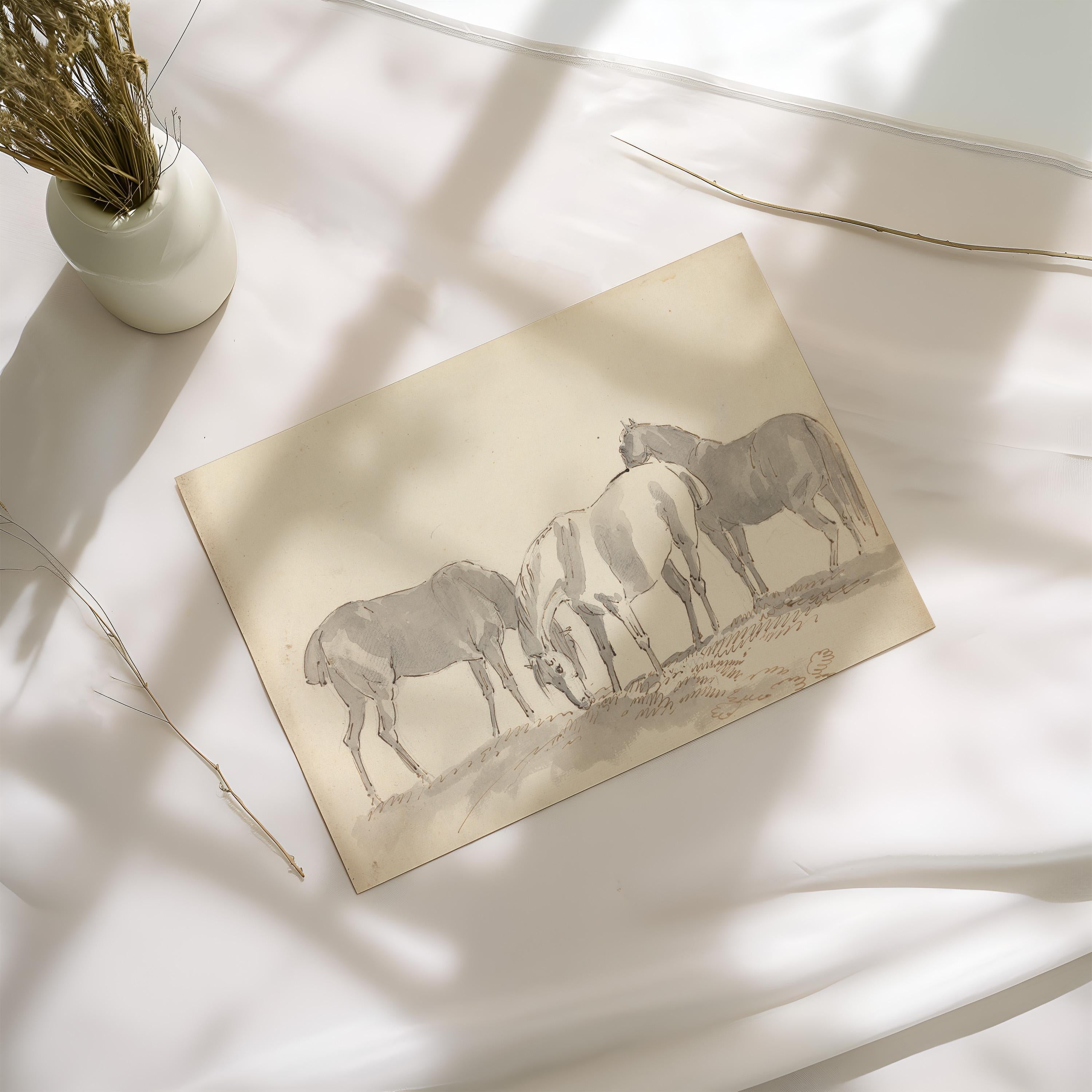 Vintage Horse Sketch Print, Equestrian Wall Art, Antique Drawing, Minimalist Ranch Decor, FG434