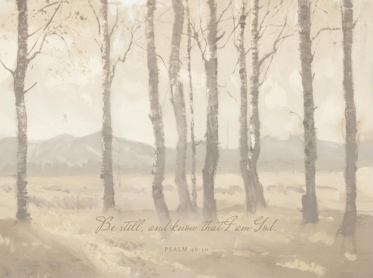 Be Still Framed Canvas | Birch Grove Christian Home Decor | Neutral Christian Wall Art | Faith Gift | T0003