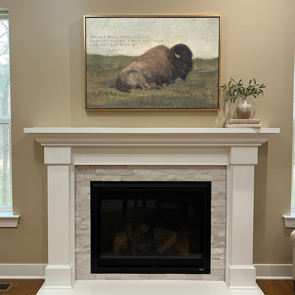 Wildlife Bison — Psalm 23:4 | Product view 7