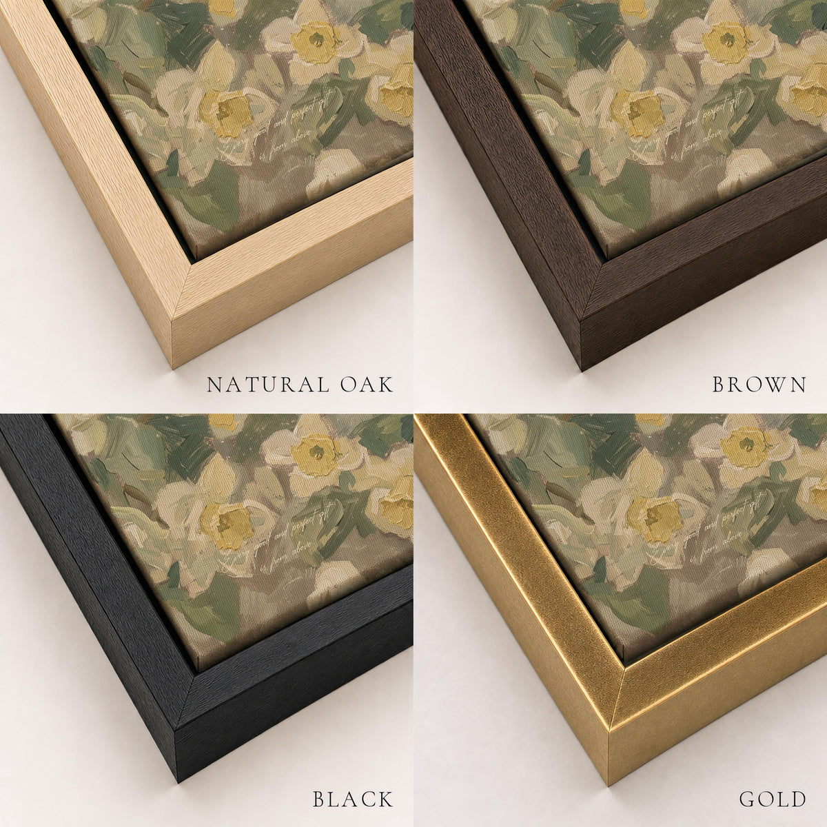Daffodil — James 1:17 | Product view 3