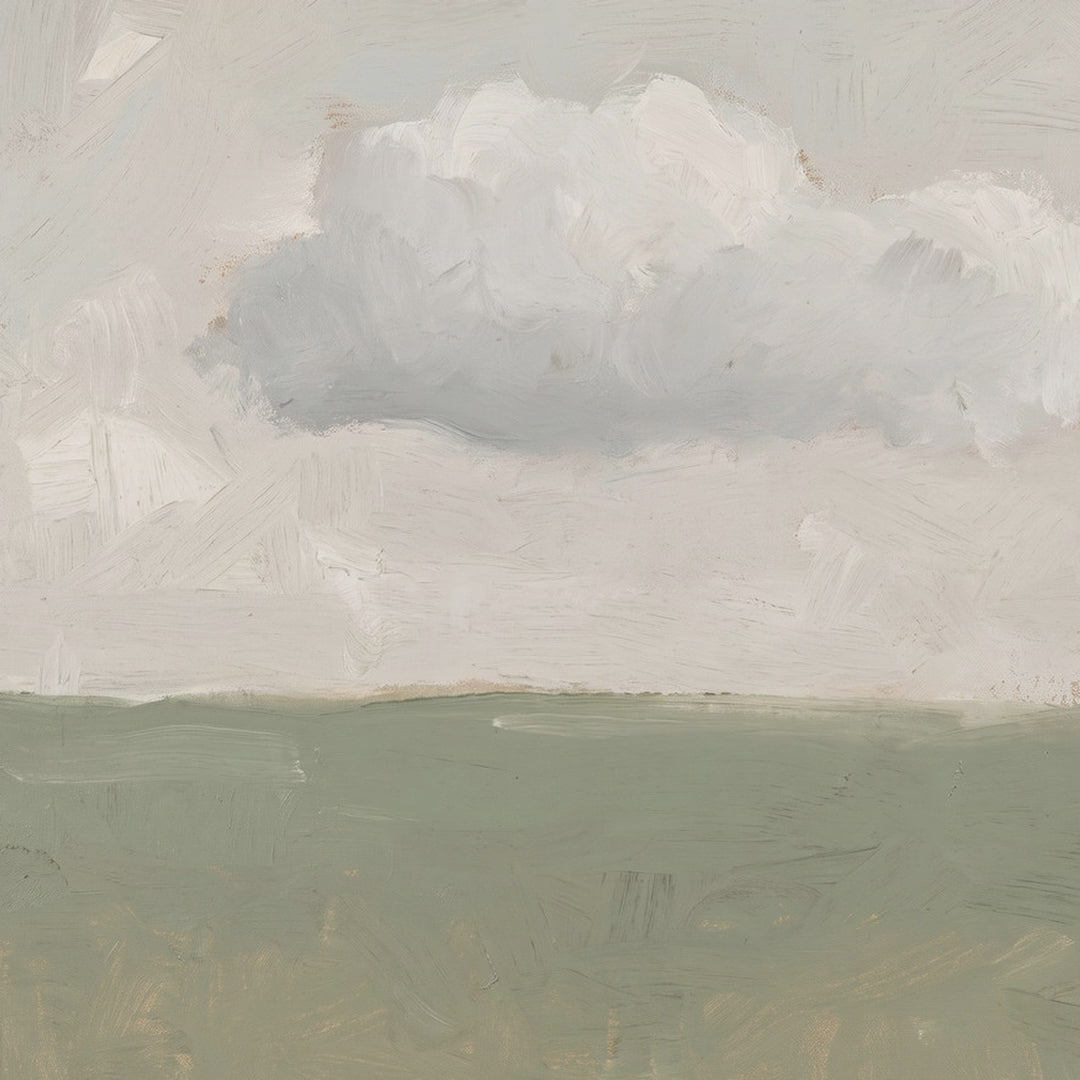 One Cloud Over Sage Field video