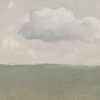 One Cloud Over Sage Field video