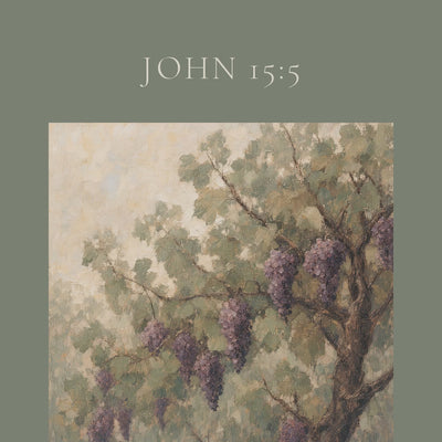 Vine and Branches — John 15:5 video
