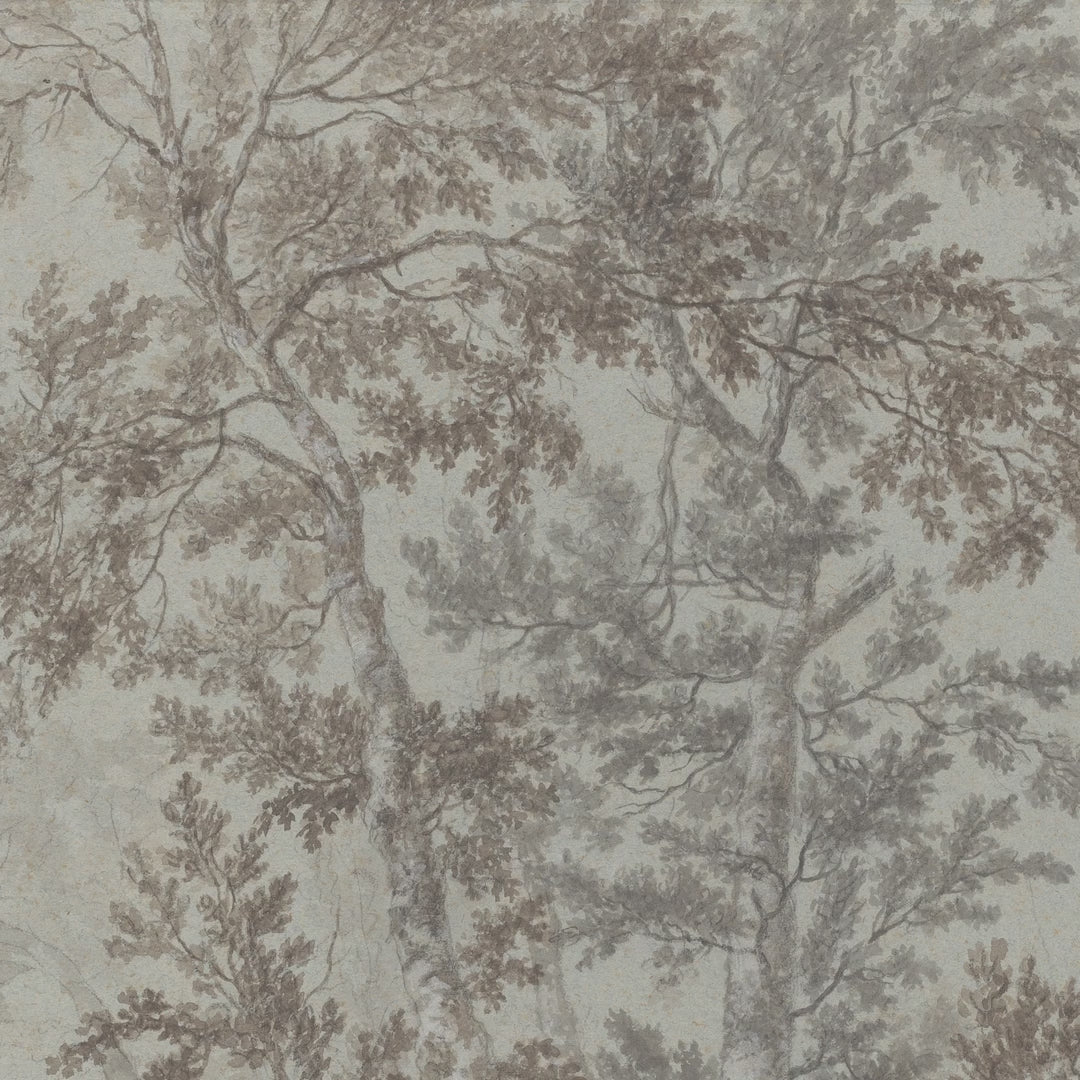 Quiet Woodland Branches video