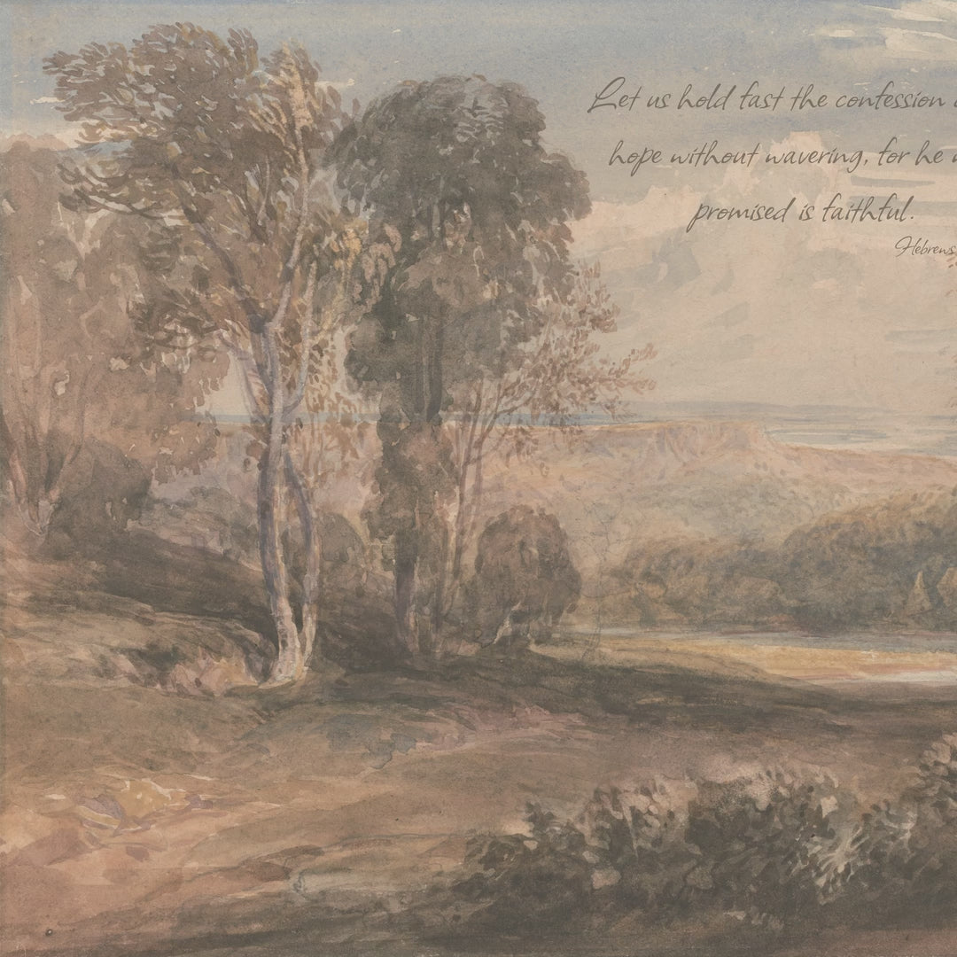 Warm Woodland Pond video