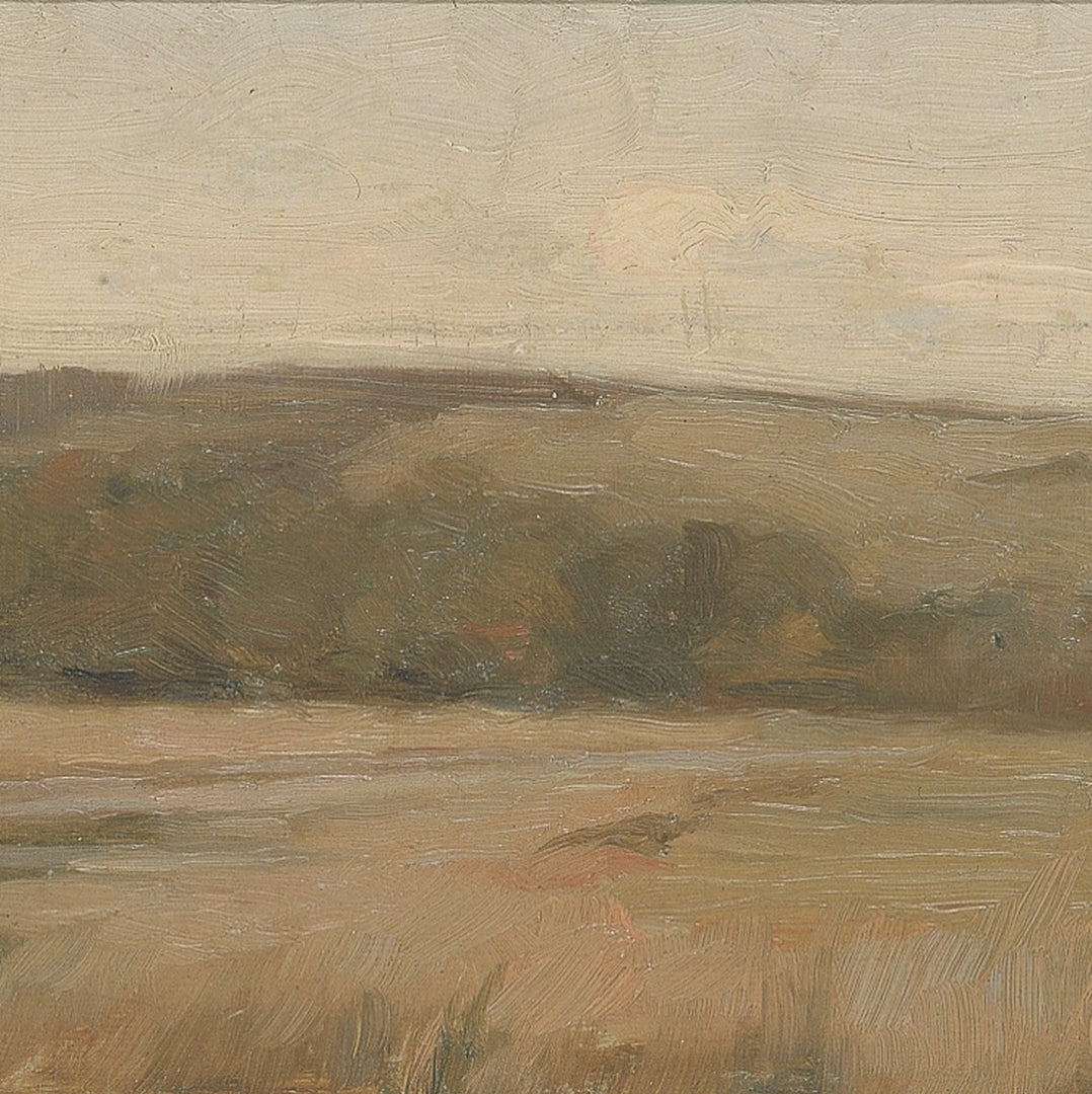 Weyl Hill and Marshland video