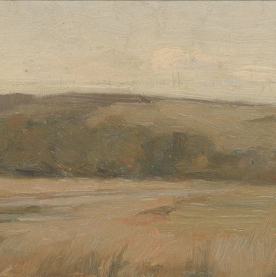Weyl Hill and Marshland video