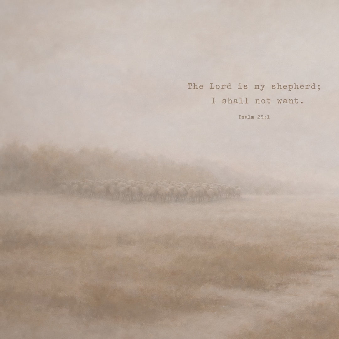 The Shepherd in Fog video