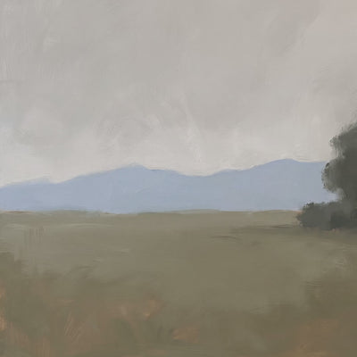 Mountains and Field video