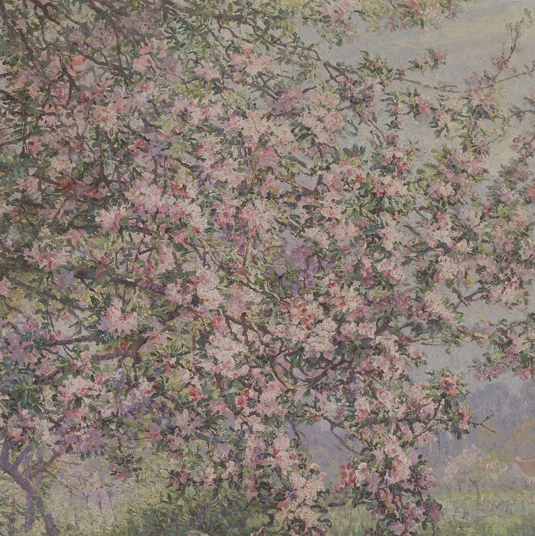 New Every Morning Blossoms — Lamentations 3:22-23 video