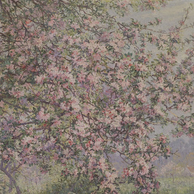 New Every Morning Blossoms — Lamentations 3:22-23 video