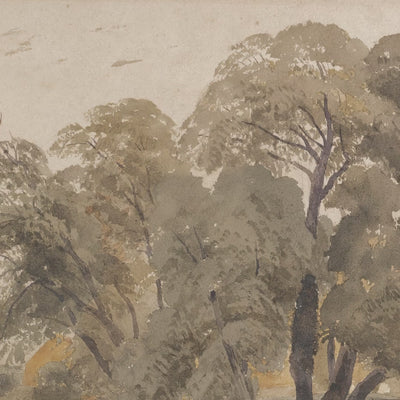 Cattle Beneath the Oak video