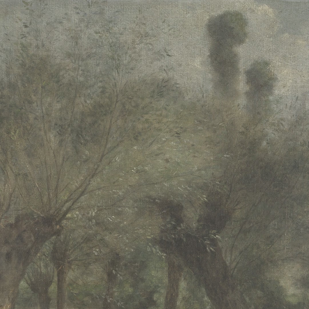 Woodland Path video