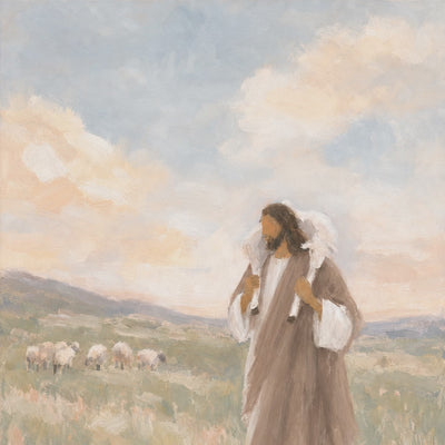Lost Sheep video