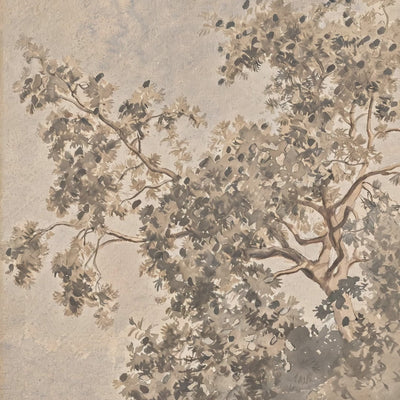 Vintage Botanical Tree video