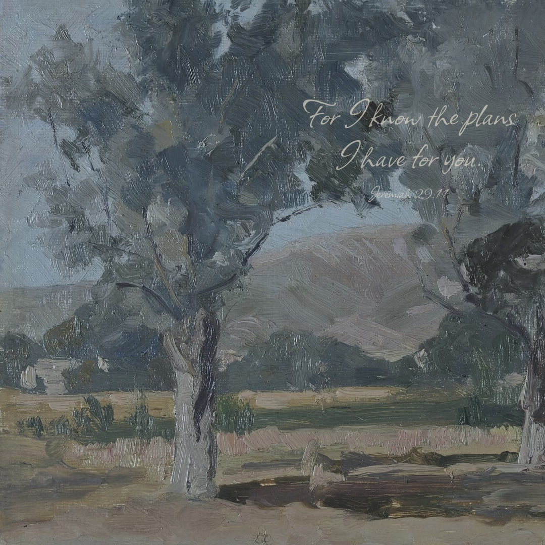 Dusky Oak Grove video