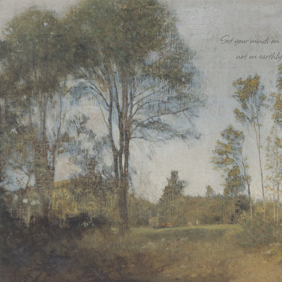Tall Trees and Open Meadow video