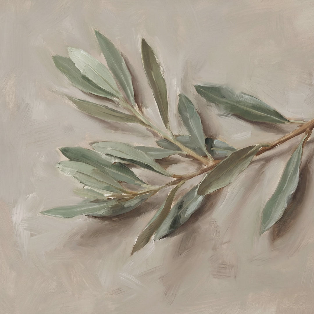 The Single Olive Sprig video