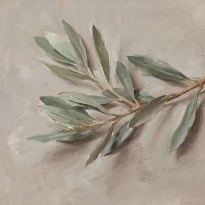 The Single Olive Sprig video