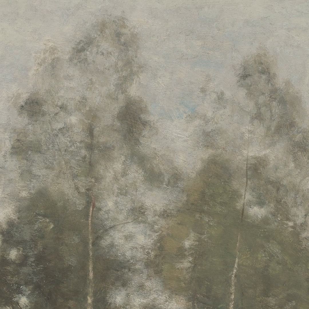 Soft Ivory Birch Grove video