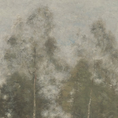 Soft Ivory Birch Grove video
