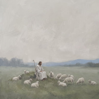 Resting with the Flock video