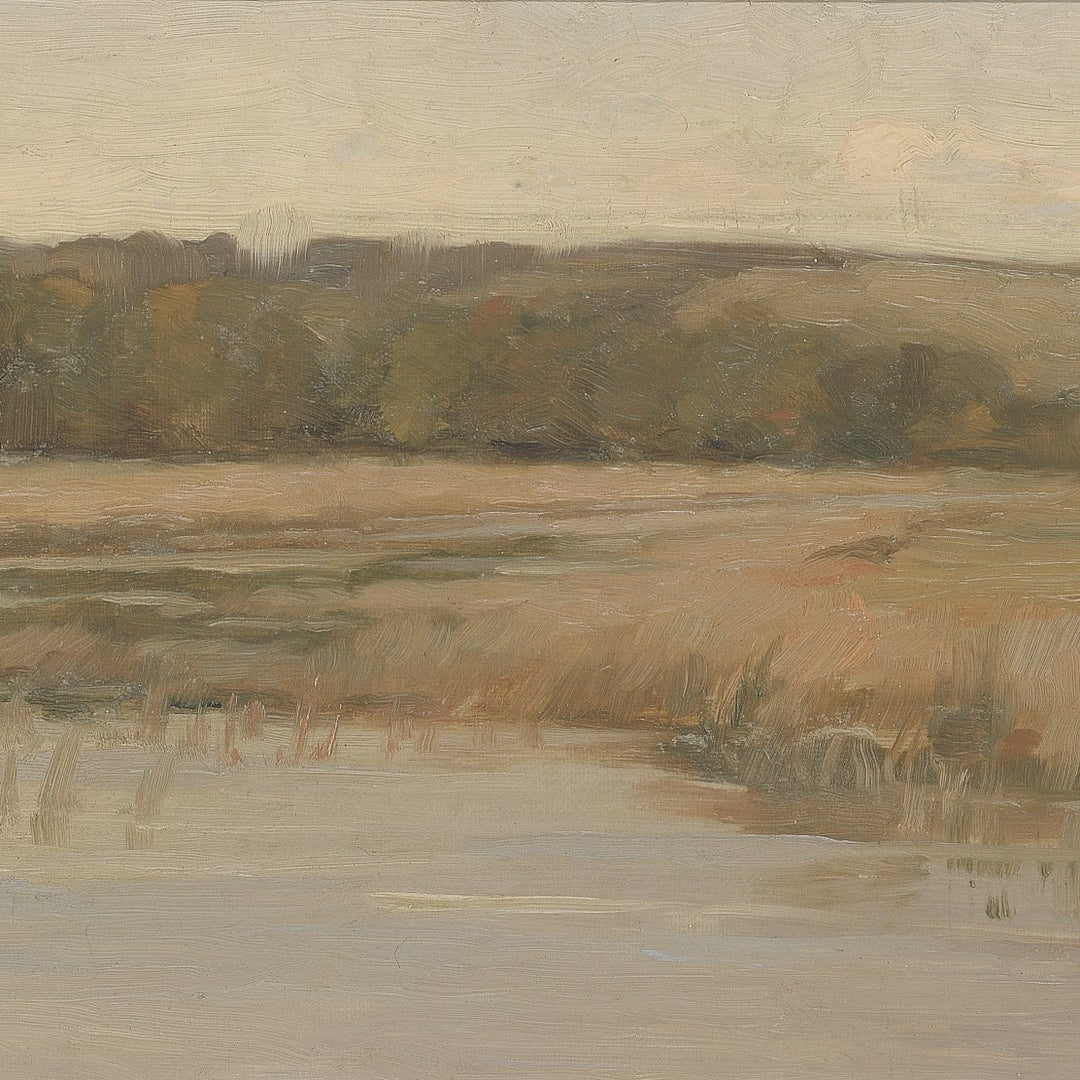 Marshland and Distant Hill video