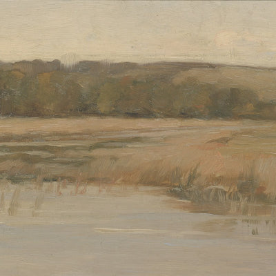 Marshland and Distant Hill video