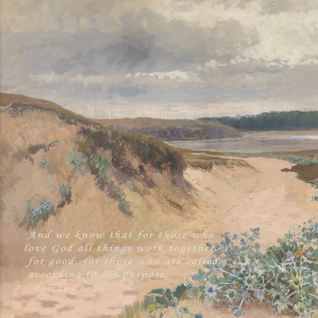 Coastal Beach — Romans 8:28 video