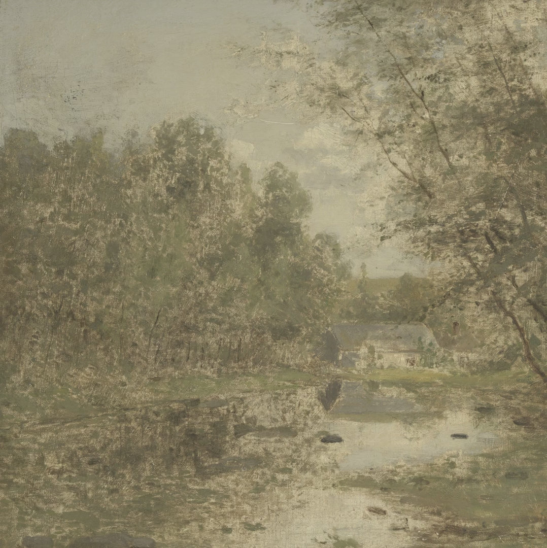 Quiet Woodland Brook video