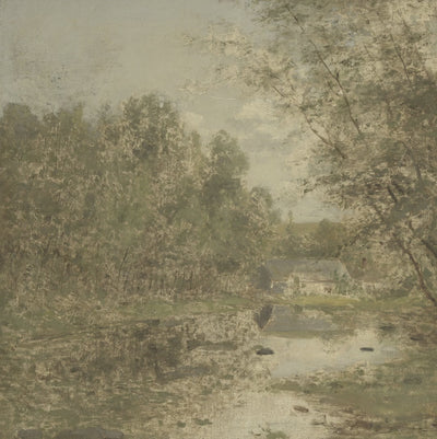 Quiet Woodland Brook video
