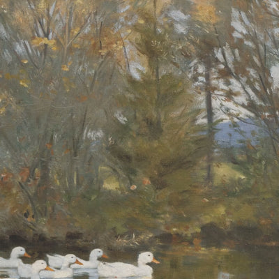 White Geese on the Pond video