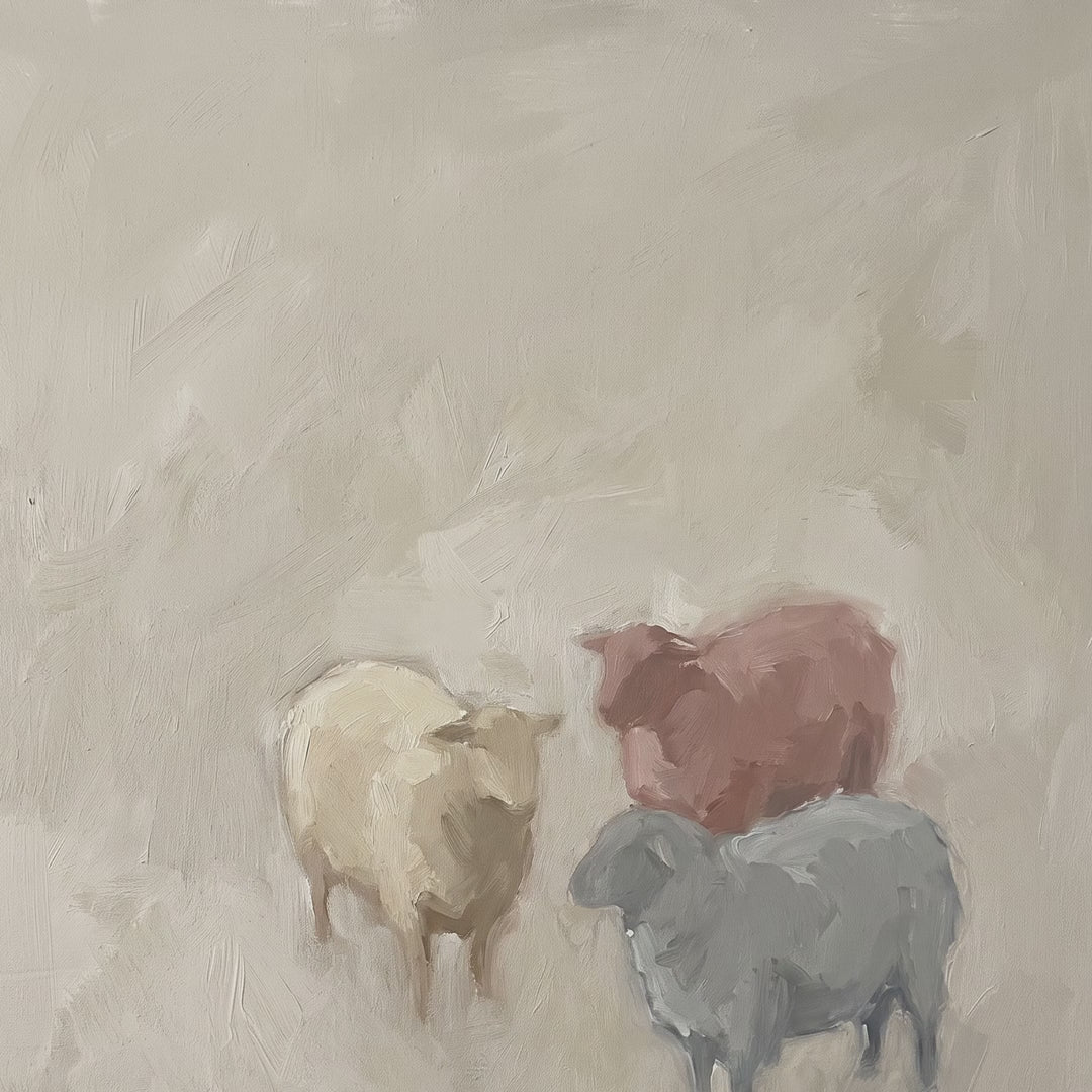 Three Little Sheep video