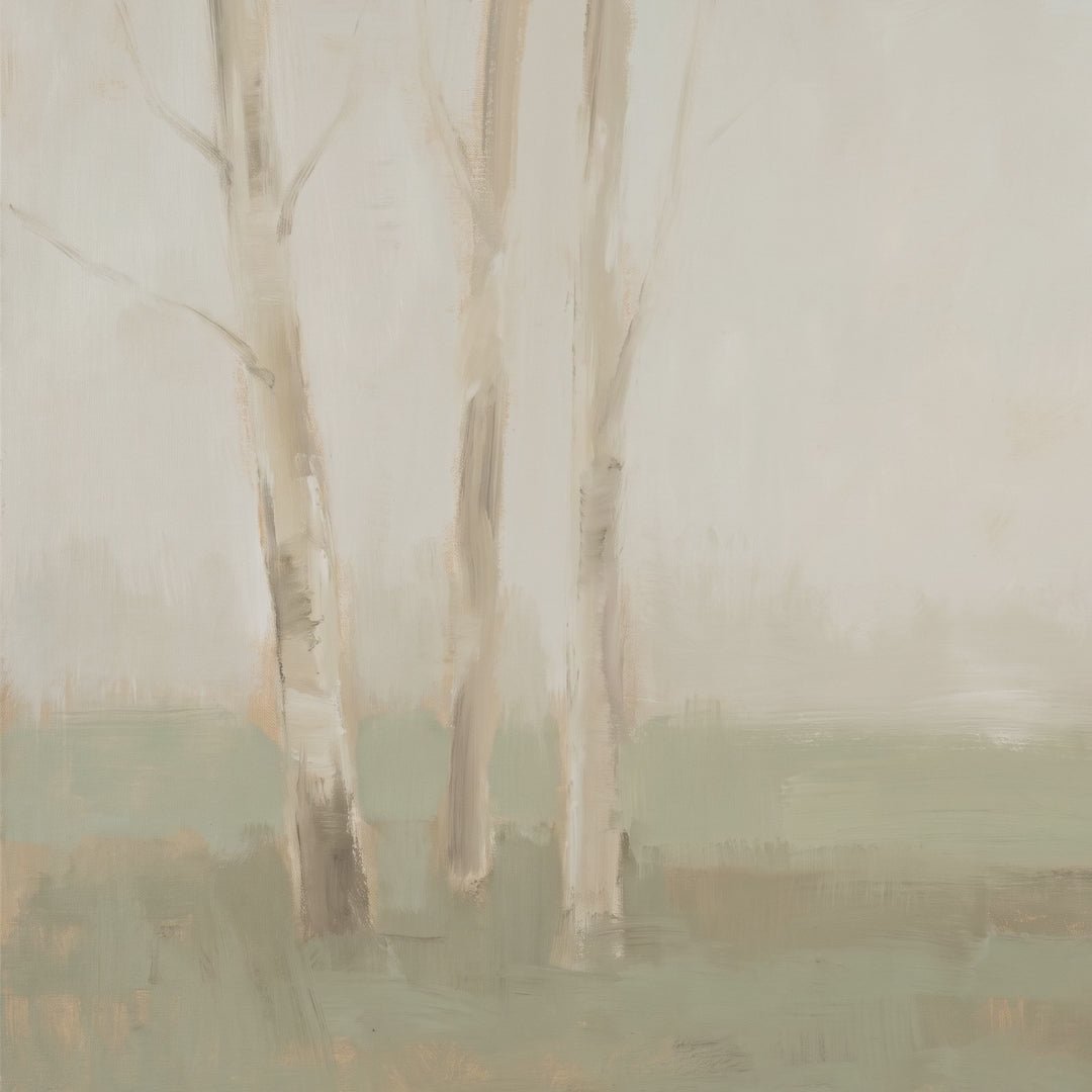 Three Birches video