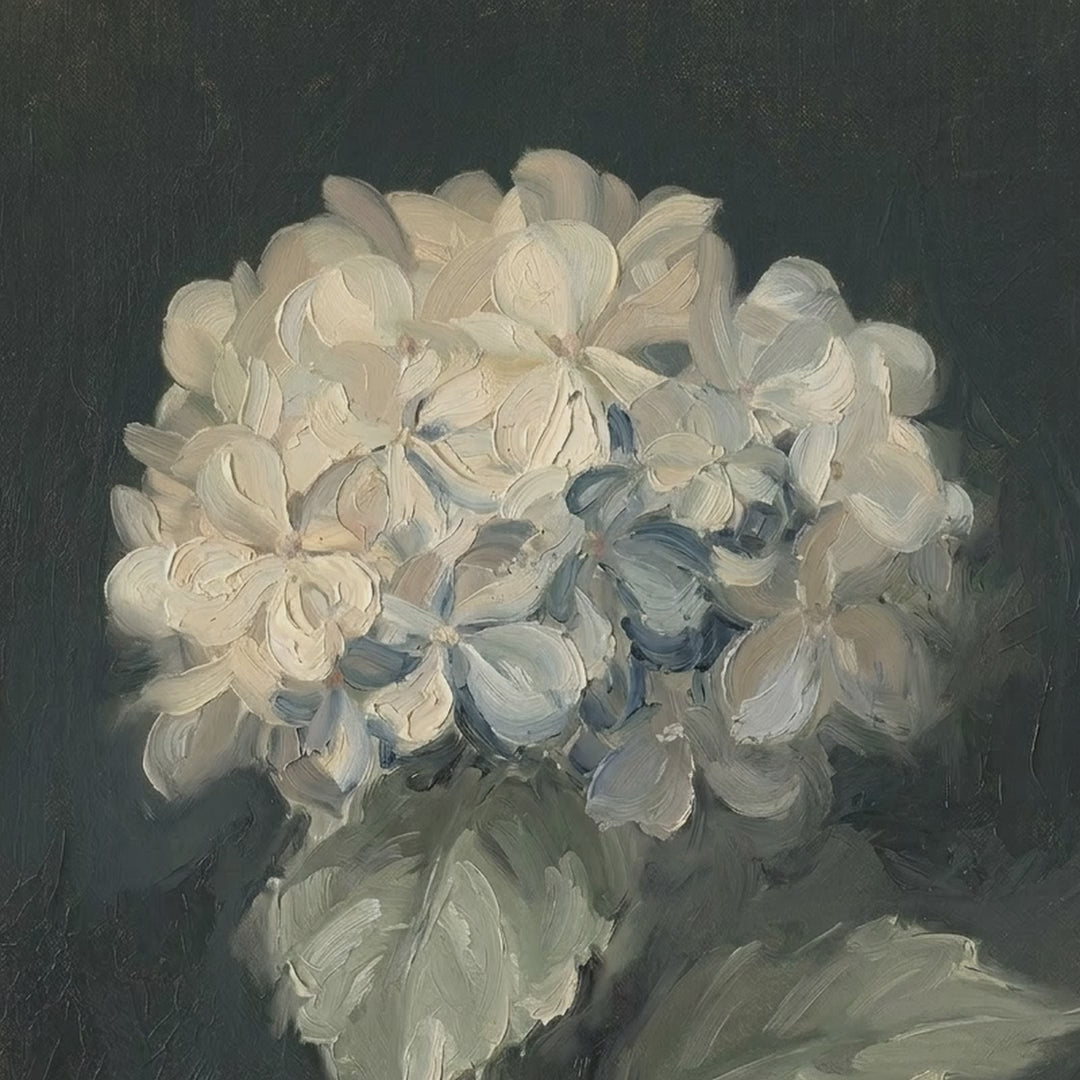 Stuart Park White Hydrangea video