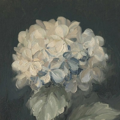 Stuart Park White Hydrangea video