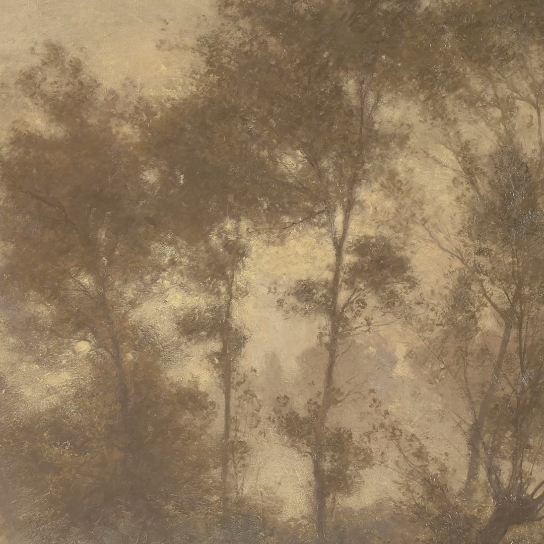 Sunlit Woodland Pond video