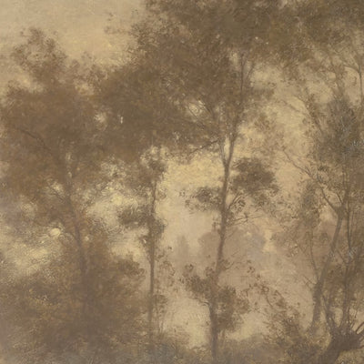 Sunlit Woodland Pond video
