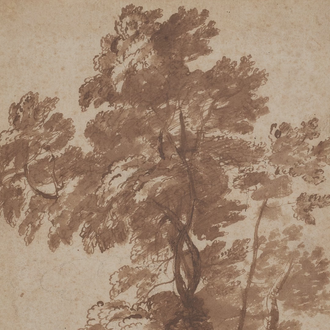 Sepia Tree Study video