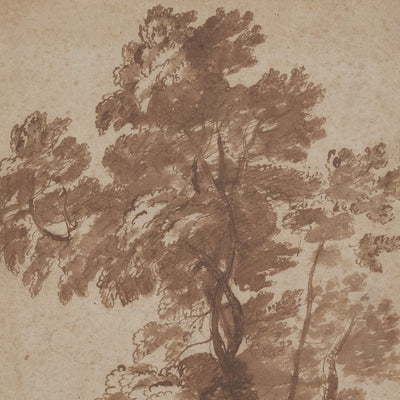 Sepia Tree Study video