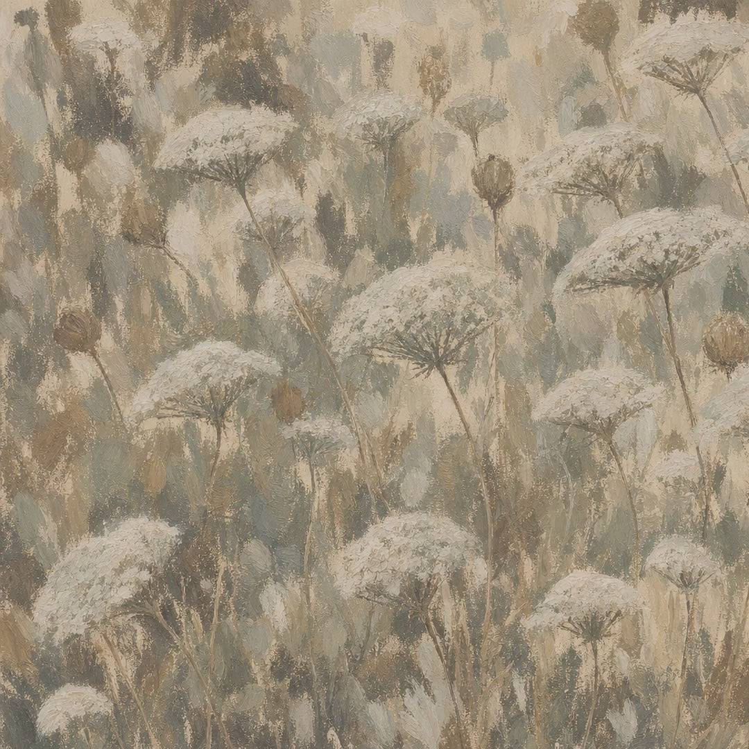Queen Annes Lace Field video