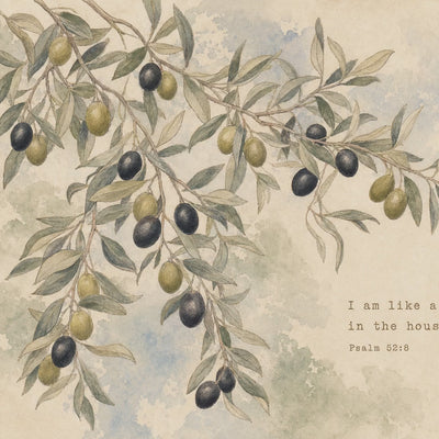 Olive Branch — Psalm 52:8 video
