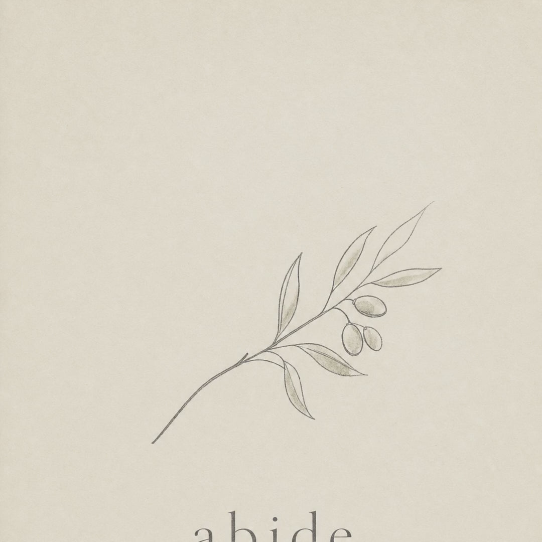 Abide — John 15:5 video