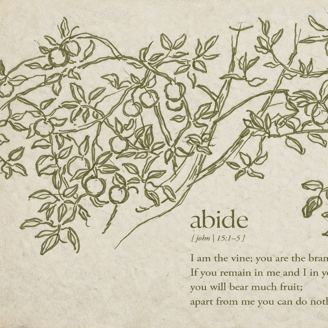 Olive Abide video