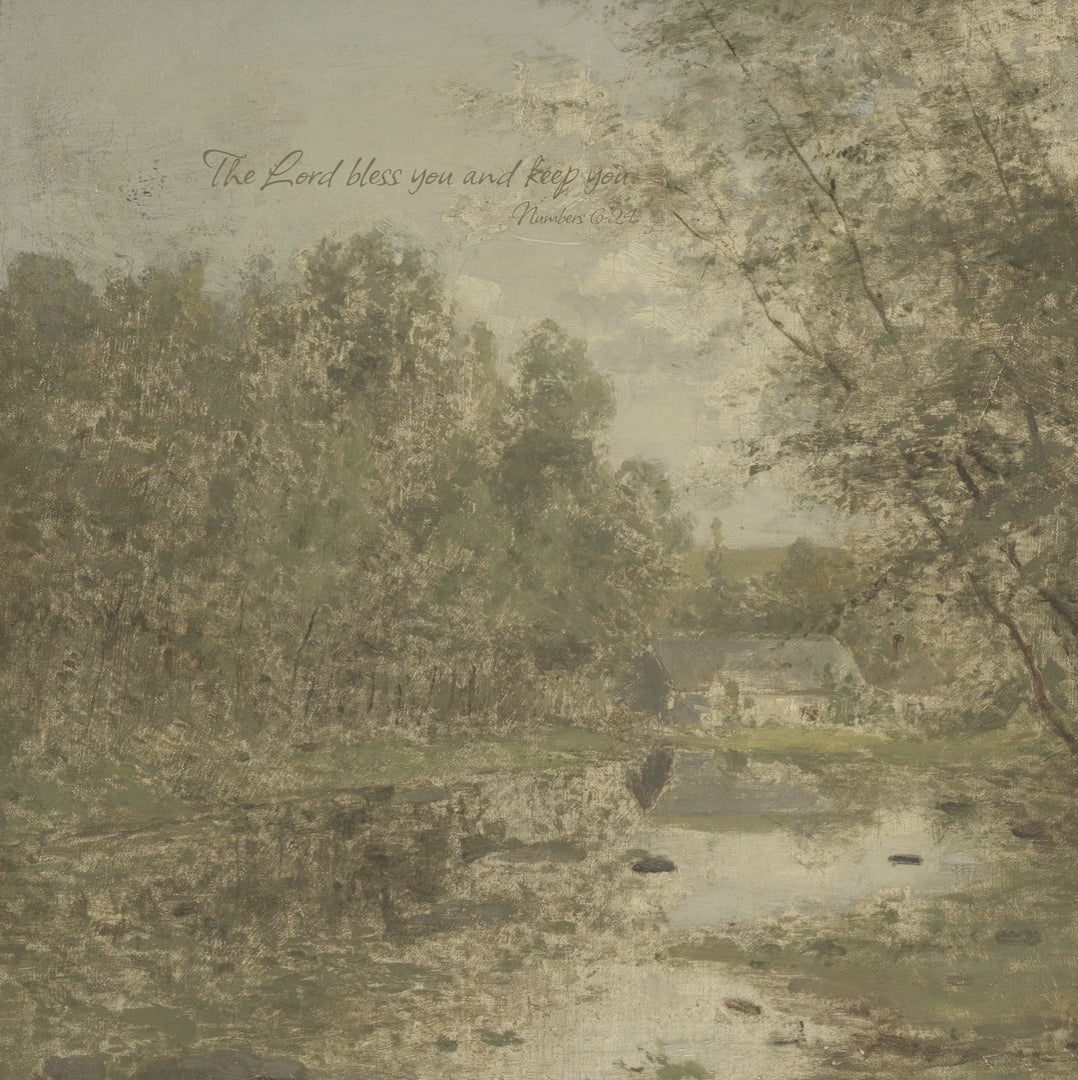 Woodland Brook video